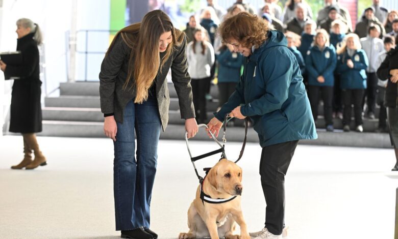Unexpected emotions at Felipe VI’s birthday: family lunch in the shadow of recent loss