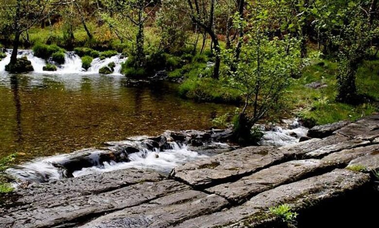 The Galician Village Where Middle Earth Comes Alive Bridges Forests and an Unusual Restaurant
