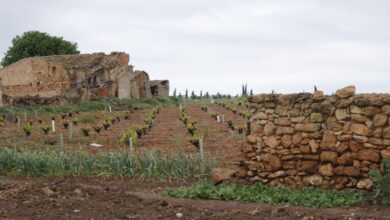 Заброшенные деревни Альбасете: исчезнувшие поселения и их судьба в XXI веке RUSSPAIN.COM