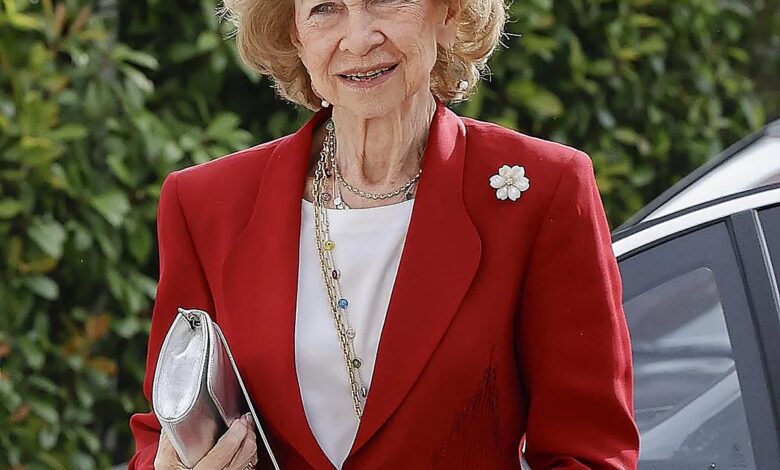 Queen Sofia Returns After Tragedies — A Surprise Visit to Basauri