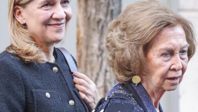 Неожиданные союзники поддерживают королеву Софию в трудный период RUSSPAIN.COM