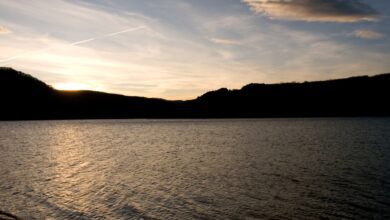 Панорамный маршрут по водохранилищам Паленсии: уникальный опыт для любителей природы RUSSPAIN.COM