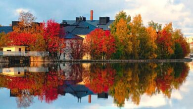 Молодая женщина меняет город на деревню и преодолевает 110 км ради работы