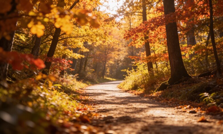 Ошибки и успехи: какие опросы оказались точнее всего в Кастилии и Леоне