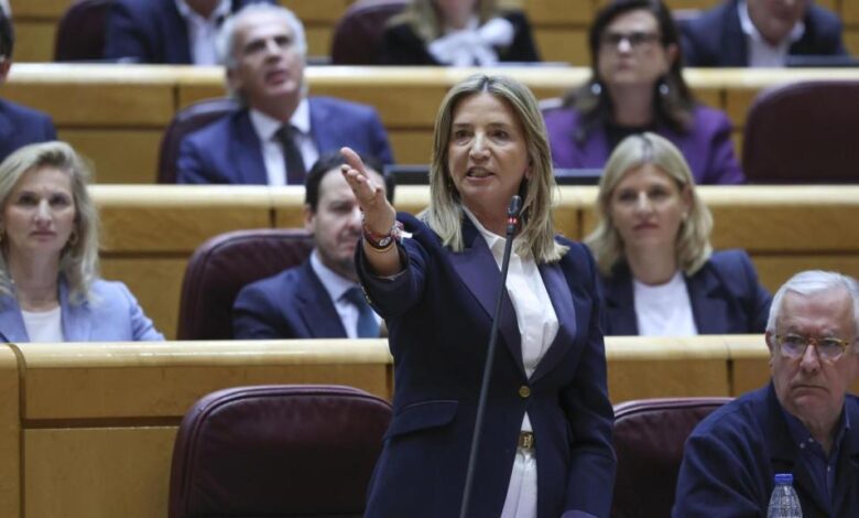 Zapatero’s Ally Vanishes as BOE Plans Unusual Summons to Koldo Commission