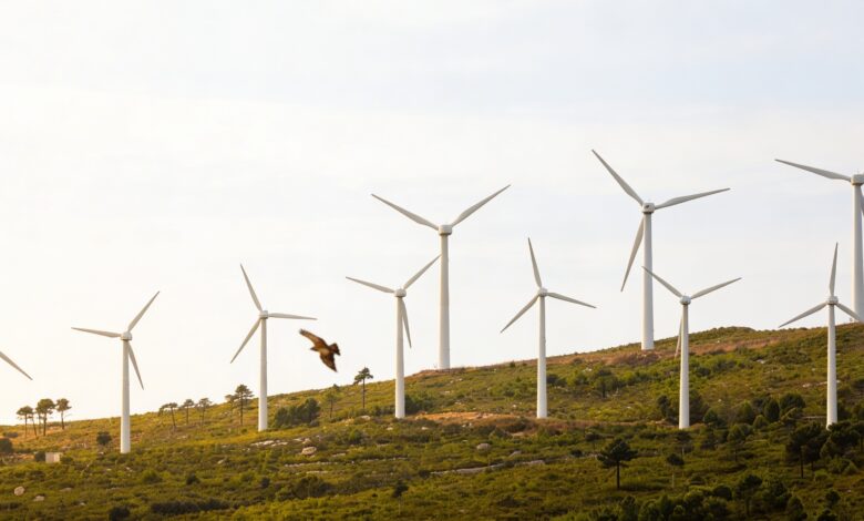 Three Catalan Regions Designated Priority Areas for Wind and Solar Energy