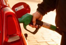 Досрочные выборы в Андалусии: как изменится политический баланс в Испании RUSSPAIN.COM