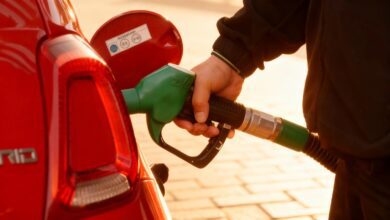 Досрочные выборы в Андалусии: как изменится политический баланс в Испании RUSSPAIN.COM