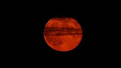 Полное лунное затмение 2026 года изменит жизнь испанцев по знакам зодиака RUSSPAIN.COM