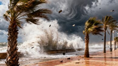 Восемь регионов Испании столкнулись с опасными ветрами и штормами RUSSPAIN.COM