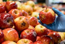 93% яблок в Европе содержат опасные остатки пестицидов — исследование RUSSPAIN.COM