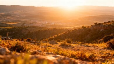 Буря Therese принесла штормы и ливни: какие регионы Испании под угрозой RUSSPAIN.COM