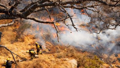 Вспышка лесного пожара в Эстремадуре: 200 гектаров уничтожены за сутки RUSSPAIN.COM