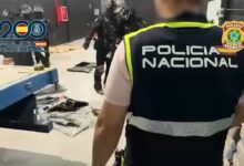 В Марбелье раскрыта схема: 1,5 тонны кокаина среди мешков цемента