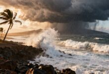 Буря Therese меняет климат Канарских: штормовые ветры и ливни на неделе RUSSPAIN.COM