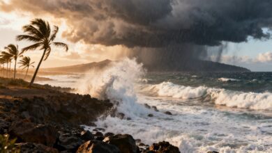 Буря Therese меняет климат Канарских: штормовые ветры и ливни на неделе RUSSPAIN.COM