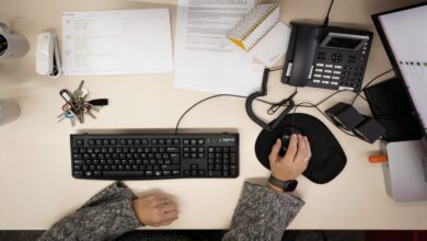 Единая образовательная платформа в Каталонии: 150 старых приложений уйдут в прошлое RUSSPAIN.COM