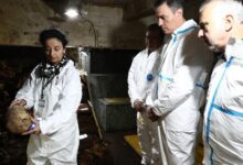 Контракт на 345 000 евро: генетические анализы останков из Долины павших RUSSPAIN.COM