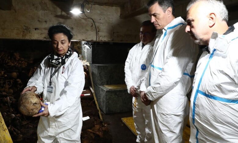 Контракт на 345 000 евро: генетические анализы останков из Долины павших