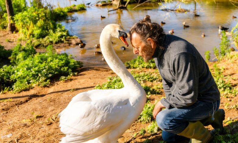 Уникальный заповедник у Севильи оказался на грани исчезновения