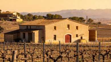 Семьи покидают рынок: неожиданные перемены в индустрии кавы Испании RUSSPAIN.COM