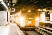 Дерево на путях: поезд R11 в Каталонии остановлен