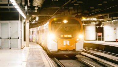 Дерево на путях: поезд R11 в Каталонии остановлен