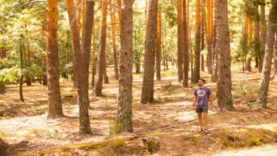 Спрос на сельский туризм в Мадриде: рекордные 82% занятости на Пасху RUSSPAIN.COM