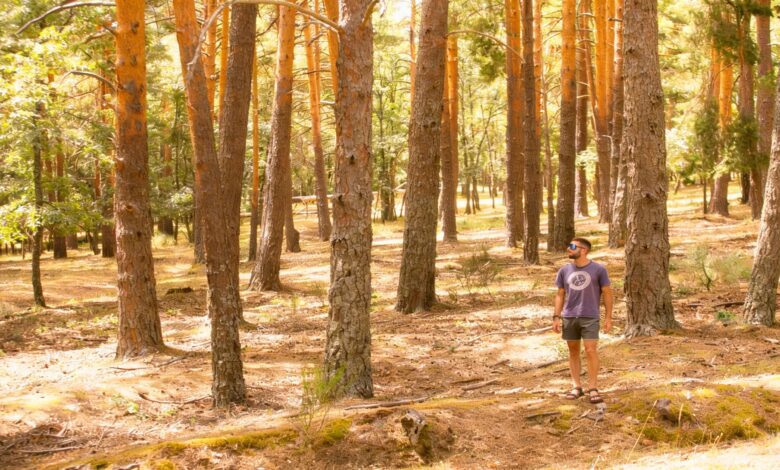 Спрос на сельский туризм в Мадриде: рекордные 82% занятости на Пасху