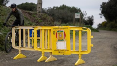 Барселона закрывает природные зоны: новые ограничения из-за вспышки болезни RUSSPAIN.COM