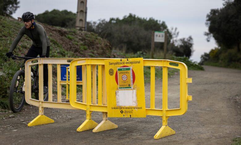 Барселона закрывает природные зоны: новые ограничения из-за вспышки болезни