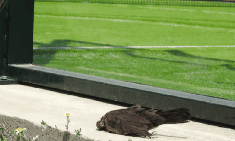 Необычный пассажир в метро Мадрида удивил всех своим поведением