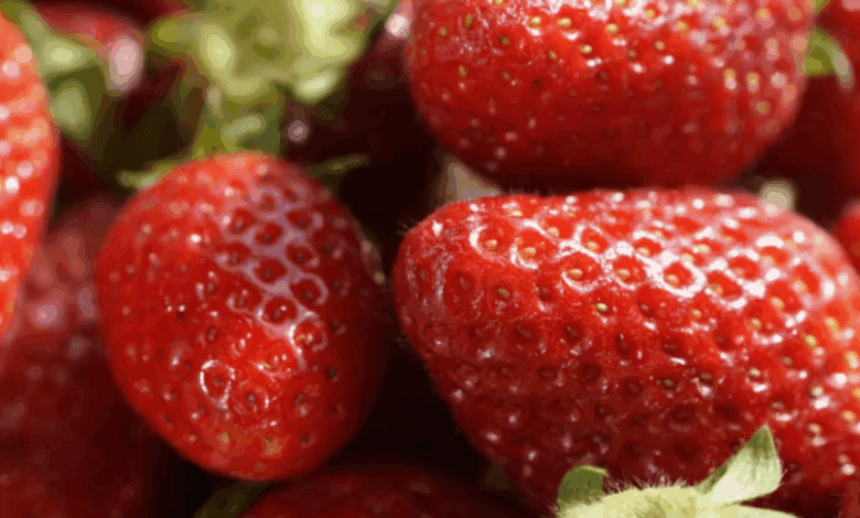 Франция отзывает испанские клубнику из-за превышения пестицидов