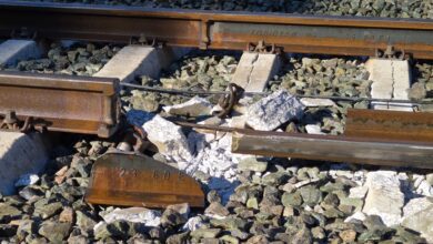 Суд по делу аварии в Adamuz требует отчёты экспертов за 3 дня RUSSPAIN.COM