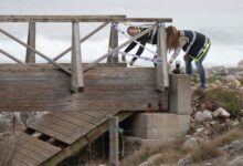 Власти спорят о том