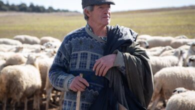 Связь исчезает: почему Сория до сих пор вне зоны доступа RUSSPAIN.COM