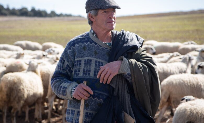 Связь исчезает: почему Сория до сих пор вне зоны доступа