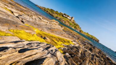 Французский дайвер погиб в Каталонии: трагедия на побережье Port de la Selva RUSSPAIN.COM