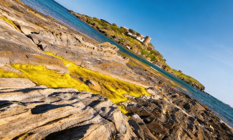 French diver dies in Catalonia tragedy on the Port de la Selva coast