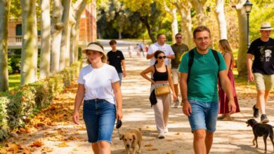 UNESCO требует пересмотра плана по сохранению парка Эль-Ретиро в Мадриде RUSSPAIN.COM