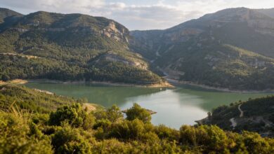 Руководитель дамбы Бусео: власти не предупредили о риске до катастрофы RUSSPAIN.COM