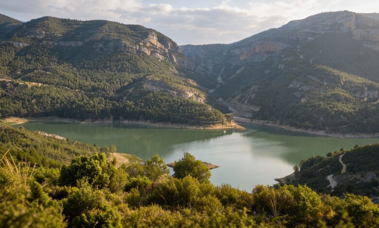 Buseo Dam Chief Authorities Failed to Warn of Risk Before Disaster