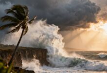 Буря 'Therese' принесла рекордные осадки и штормовой ветер на Канарские острова RUSSPAIN.COM