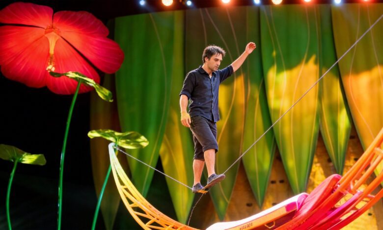 OVO от Circo del Sol: как цирк превращает Movistar Arena в город насекомых