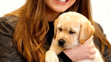 Инфанта София готовит первый публичный шаг: переезд в Париж и новая роль RUSSPAIN.COM