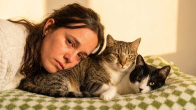 Неожиданные факты из жизни Паулы Усэро: актриса