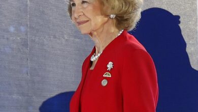 Королева София удивляет: новые маршруты и неожиданные решения после утрат RUSSPAIN.COM