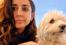 Собака Inma Cuesta полностью ослепла после редкой травмы: мнение ветеринаров RUSSPAIN.COM