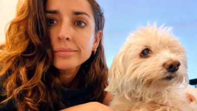 Собака Inma Cuesta полностью ослепла после редкой травмы: мнение ветеринаров RUSSPAIN.COM