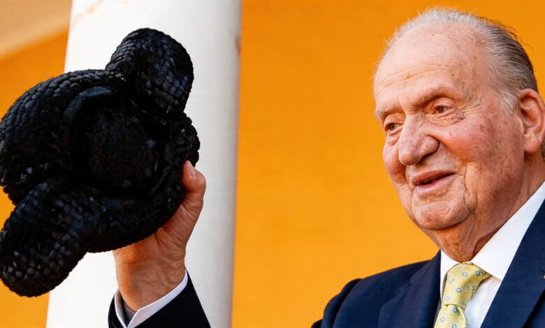 Declaraciones contundentes de Juan Carlos I: nuevas críticas al Gobierno y a su hijo